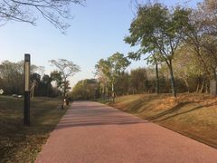 -盘龙城国家考古遗址公园