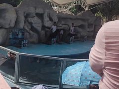 -泉州海丝野生动物世界