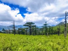 -秦岭风景区