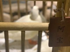 -馬蘭花開(车站大道店)