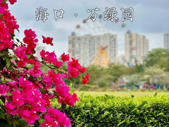 -万绿园