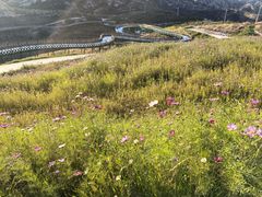 -桑干河大峡谷旅游区