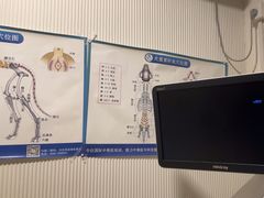 -守诺宠物医院·眼科· 特色牙科·异宠专科(虹口店)