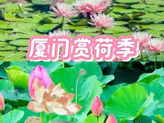 -厦门明发国际大酒店(会展中心环岛路店)