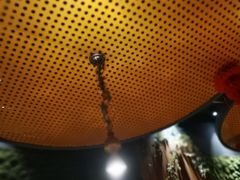 -周麻婆·川式小炒(宁德蕉城南路店)