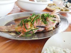 -南蚝小贝海鲜特色餐厅(南澳岛店)