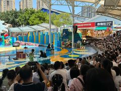 -海合安成都极地海洋公园