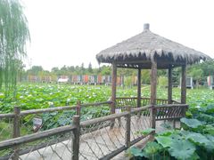 -上海怡沁园度假酒店