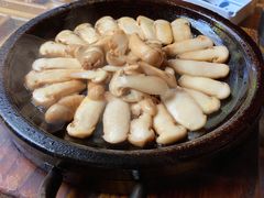 石板松茸-醉云喃