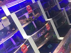 -七欣天(上海淮海路新尚广场店)