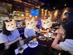 -bluefrog蓝蛙(皇庭广场店)