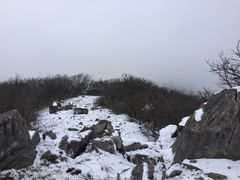 -湖州龙王山景区
