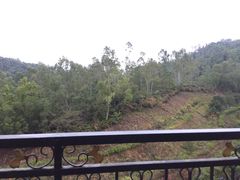 -金茂园大酒店