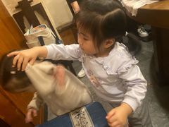 -万里闯关东铁锅炖菜馆(高新旗舰店)