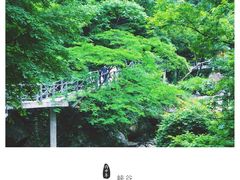 -浙北大峡谷