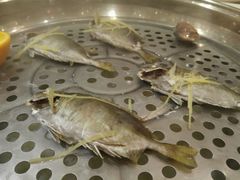 -阿锋鲍鱼酒家美食汇(华安店)