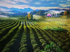 -中国茶叶博物馆(双峰馆区)