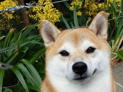 -麦当劳(华融店)