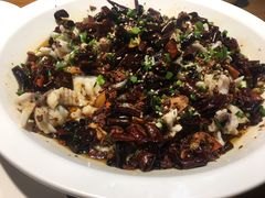 -三猫黑鱼花(南大店)
