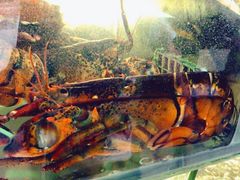 -覃记海鲜美食餐厅