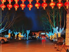 -南宫五洲植物乐园