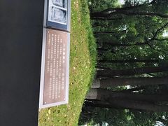 -马王堆汉墓遗址
