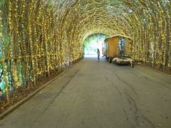 -三圣花乡旅游区