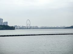 -金鸡湖景区