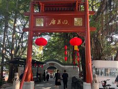 -侨美·唐荔园·40年地道粤菜