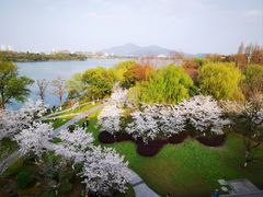 -南京城墙景区