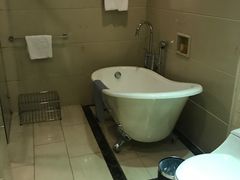 -圣爵菲斯大酒店(长沙世界之窗店)