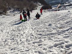 -太子岭滑雪场