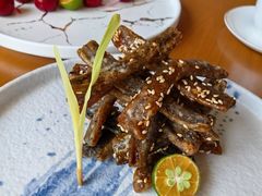 -广州富力君悦大酒店空中花园