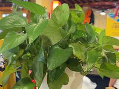 -靠山屯东北农家菜(八龙桥雅苑店)