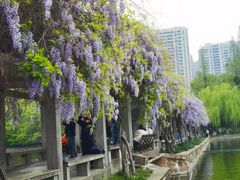 -浙江大学(紫金港校区)