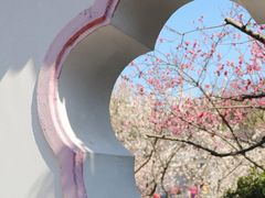 -无锡梅园公园