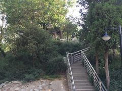 -黄村公园
