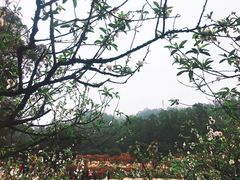 -南国桃园旅游度假区