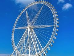 -祥源·阜阳生态乐园