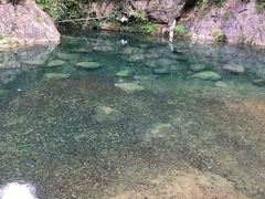 -宁波五龙潭景区