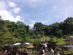 iphone_upload_pic-圣淘沙天际线斜坡滑车