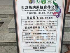 -西双版纳原始森林公园