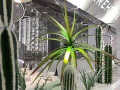 -3号仓库·创意中国菜(嘉兴龙鼎万达店)