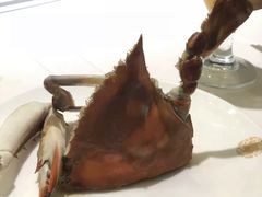 -宝燕壹号(徐汇店)