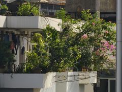 -府上酒店(广州火车站越秀公园地铁站店)