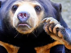 -杭州野生动物世界