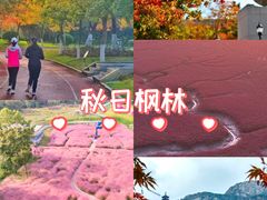 -威高广场