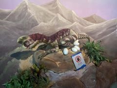 -安徽省地质博物馆