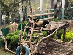 -大连森林动物园