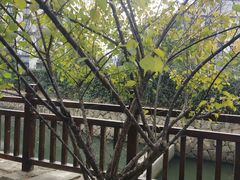 -寻味乌镇·龙虾烧烤